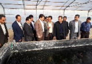 بازدید کارگروه تخصصی اقتصادی استان یزد