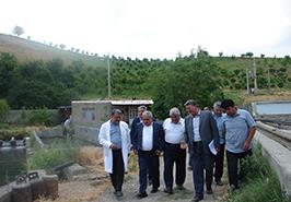 پیشرفت ۸۰ درصدی دستیابی متخصصین مرکز تحقیقات آرتمیای کشور به فناوری تکثیر مصنوعی مولدین و تولیدلارو شاه میگوی آب شیرین (خرچنگ دراز آب شیرین)