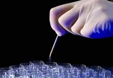 ثبت ژن دو گونه باکتریایی از دستگاه گوارش ماهی سوف سفید 