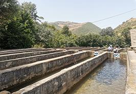 بازدید از مزرعه پرورش ماهی قزل آلا – کرامتلو مینودشت