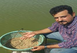 اجرایی شدن طرح یاوران تولید