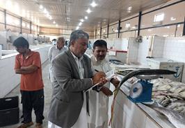 پایش برداشت از گونه های تجاری