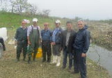 نخستین  مرحله نمونه برداری تکثیر طبیعی ماهی سفید 