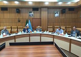 حضور نماینده انستیتو تحقیقات بین المللی ماهیان خاویاری در یک نشست وبیناری