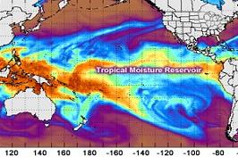 یادداشت علمی دکتر مهناز ربانی ها درباره رودخانه جوی و اثرات آن در ایران