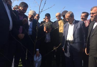 مشارکت پرسنل پژوهشکده در جشن روز درختکاری