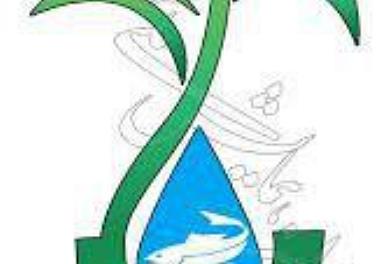 حضور پژوهشگران موسسه در اولین همایش ملی شورورزی 