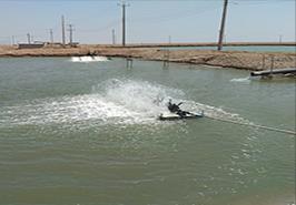 بازدید ترویجی پژوهشگر ایستگاه تحقیقاتی ماهیان دریایی بندر امام خمینی (ره)