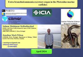سخنرانی عضو هیأت علمی مرکز تحقیقات ماهیان سردآبی کشور در کنفرانس بین المللی