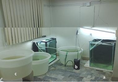 برگزاری جلسه دفاعیه  پروژه شانه دار مهاجم در پژوهشکده اکولوژی دریای خزر 