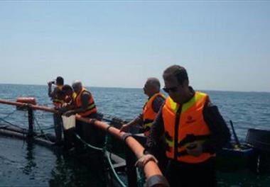 بازدید گروه مهندسی نیروی دریایی از قفس های دریایی در گیلان 