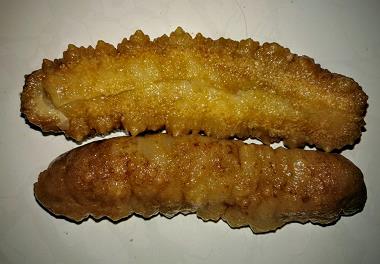 اجرای طرح ارزیابی ذخایر خیاران دریایی در آبهای جنوب کشور