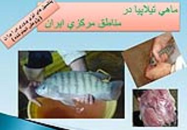 مناظره علمی رادیویی دکتر متین فر با موضوع تیلاپیا