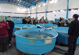 بازدید از انستیتو تحقیقات بین المللی ماهیان خاویاری