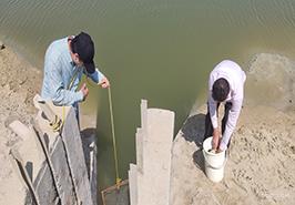 گشت ترویجی از مجتمع کشت و صنعت مکران
