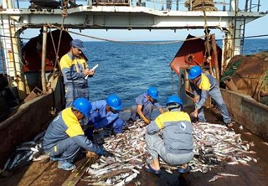 عملیات دریایی طرح ارزیابی و اکولوژی  کفزیان خلیج فارس و دریای عمان