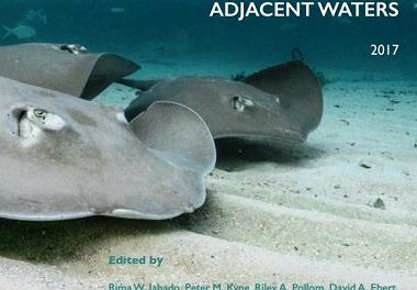 انتشار کتاب وضعیت حفاظتی و فهرست  قرمز غضروف ماهیان حوضه شمال غرب اقیانوس هند 