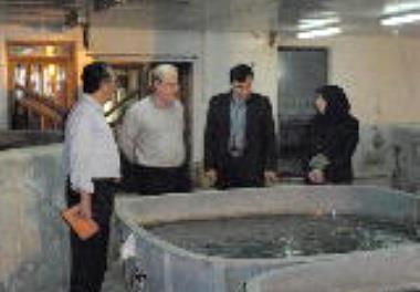 دکتر پورکاظمی از مرکز تحقیقات ملی آبزیان آبهای شور یزد بازدید کرد