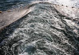 آغاز گشت های تحقیقاتی برآورد ذخایر میگو در آب های استان هرمزگان