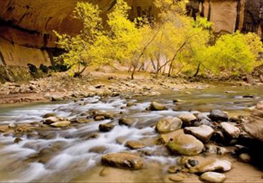 مصاحبه رئیس پژوهشکده آبزی پروری جنوب کشور با صدا و سیمای خوزستان