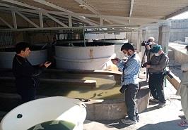 تهیه مستند از فعالیت های پژوهشی مرکزتحقیقات شیلاتی آبهای دور_ چابهار