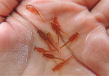 کارگاه آموزشی