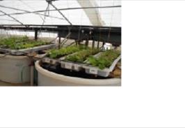 انتخاب عضو هیئت علمی مرکز تحقیقات ملی آبزیان آب های شور_ بافق یزد