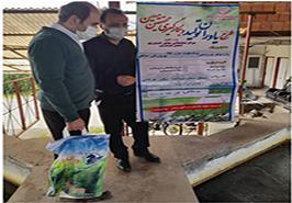 سومین بازدید طرح یاوران تولید مركز تحقیقات ماهیان سردآبی کشور_ تنکابن