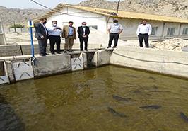 بازدید از مرکز تحقیقات ژنتیک و اصلاح نژاد ماهیان سردآبی شهید مطهری یاسوج