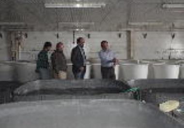 برگزاری جلسه مرکز تحقیقات ملی آبز یان آب های شور با شرکت بهسان تغذیه آریان (بتا) 