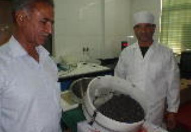 استحصال نخستین خاویار از فیل ماهی پرورشی در مزرعه بخش خصوصی استان یزد 