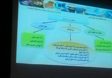 حفاظت از ماهیان بوم زاد 