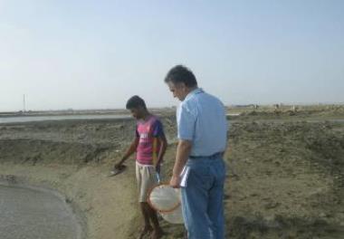 ماهی سی باس آسیایی