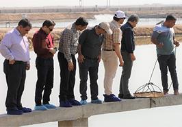 بازدید مدیر کل دفتر بهداشت و مدیریت بیماریهای آبزیان سازمان دامپزشکی از سایت شیف در بوشهر