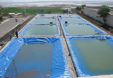 ۹ طرح کاربردی توسط مرکز تحقیقات آرتمیای کشور