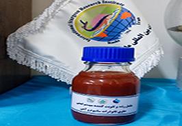 دستیابی به دانش فنی تولید مکمل رشد با نانوذرات برای فیل‌ماهی پرورشی