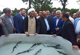 بازدید از ایستگاه تحقیقات تاس ماهیان گیلان