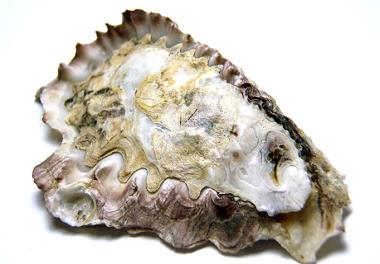 برگزاری کارگاه آموزشی 