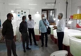 بازدید قائم مقام موسسه تحقیقات علوم شیلاتی کشور از پژوهشکده میگوی کشور_ بوشهر