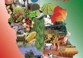 پیام دکتر بهمنی به مناسبت هفته جهاد کشاورزی