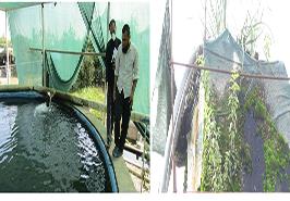 دومین حضور یاوران تولید مركز تحقیقات ماهیان سردآبی کشور- تنکابن در مزارع سردآبی شهرستان عباس آباد