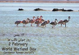 پیام روابط عمومی موسسه به مناسبت گرامیداشت روز جهانی تالاب ها