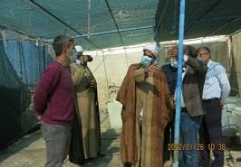 بازدید از ایستگاه تحقیقات شیلاتی نرمتنان خلیج فارس