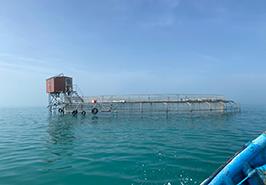بازدید رئیس مرکز تحقیقات ذخایر آبزیان آبهای داخلی_ گرگان از تنها پن متحرک منحصر بفرد در دریای خزر