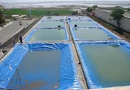 استفاده از آب‌های نامتعارف بخش کشاورزی بهترین فرصت برای پرورش آرتمیاست / کشت گلخانه‌ای آرتمیا در دستور کار قرار دارد