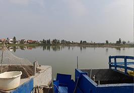 بازدید پژوهشگر مرکز تحقیقات ماهیان سردآبی کشور از مزارع پرورش ماهیان گرمابی شهرستان‌های محمودآباد و نور