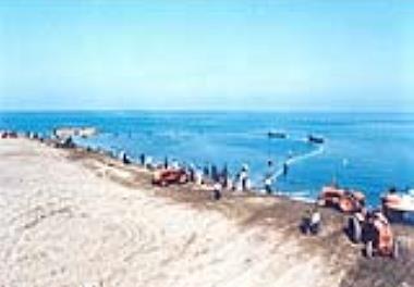 برگزاری نشست علمی ارزیابی ذخایر و مدیریت صید میگو در آبهای خلیج فارس