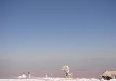 اعلام آخرین وضعیت آرتمیا در دریاچه ارومیه