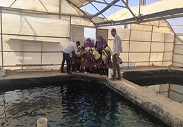 بازدید آموزشی کودکان از مرکز تحقیقات ملی آبزیان آب‌های شور یزد