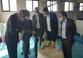 بازدید اعضای کارگروه مناطق ویژه علم و فناوری شورای عالی عتف از پژوهشکده میگوی کشور
